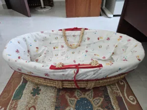 Pet accessories bundle