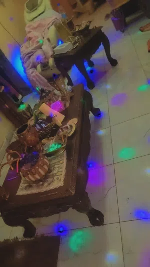 اثاث للبيع اطقم طولان خارجي