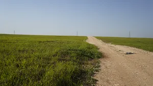 Farm Land for Sale in Irbid University of Science and Technology
