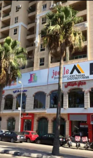 للبيع بكومباوند رويال بلازا المنتزه بالاسكندريه