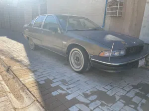 دولفين موديل91