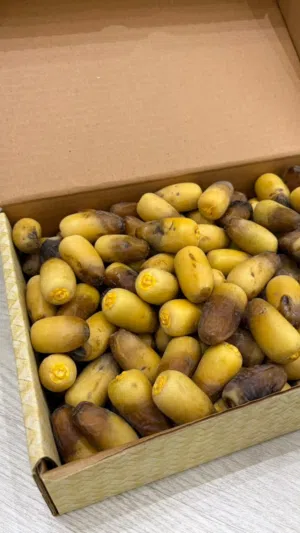 Rutab date fresh from liwa