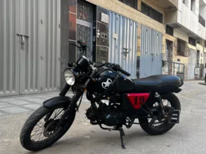 Hanway 110cc