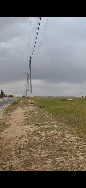 ثلاثين دونم على الشارع الرئيسي