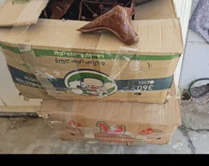 رجل ديوان وقنفات