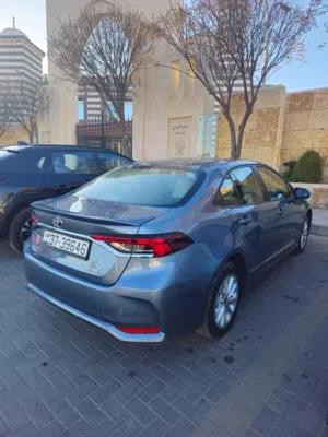 Used Toyota Corolla in Amman