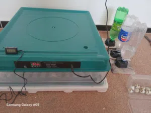 فقاصه تماتيك