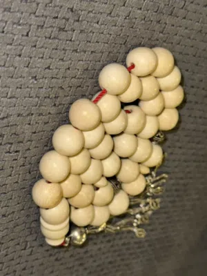 مساح عاج ناب الفيل