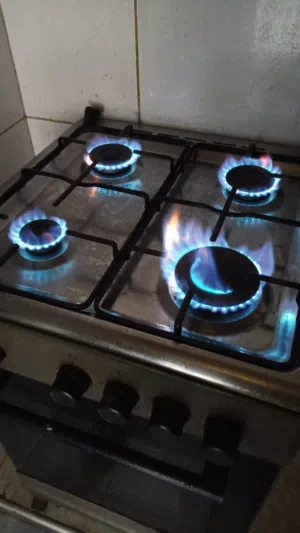 Brand: Fratelli Italy   "Good working condition"