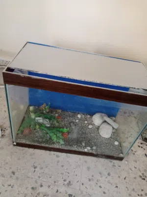 احواض سمك للبيع 25