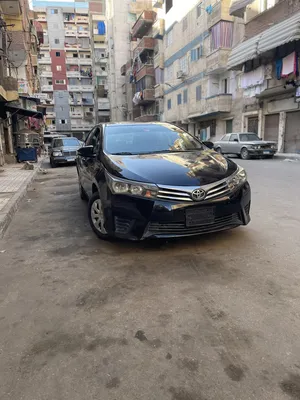 Used Toyota Corolla in Alexandria