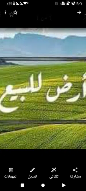 Industrial Land for Sale in Ramallah and Al-Bireh Ein Sinya