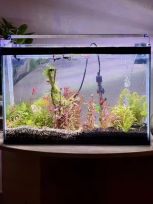 Fish tank for sale