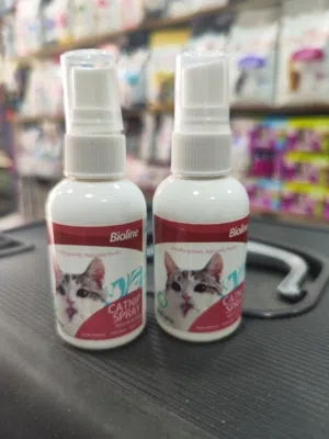 كات نب سبري