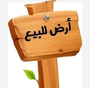 5 هكتارات للبيع في النعم
