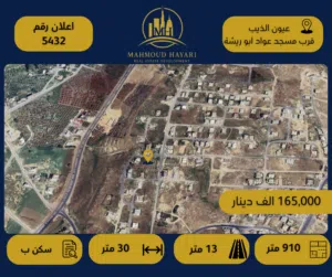 Residential Land for Sale in Amman Shafa Badran