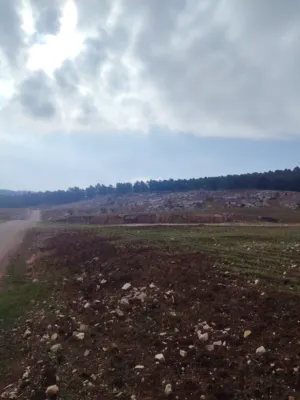 Farm Land for Sale in Jerash Tal Al-Rumman