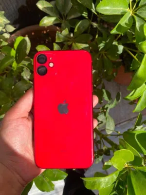 آيفون 11 للبيع