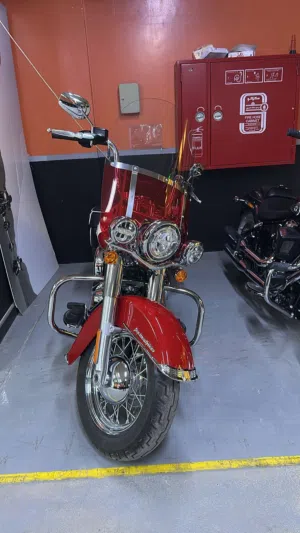 Hydra Glide Revival 2024, Limited Edition from Icons Collection