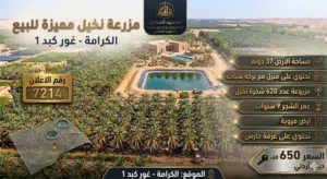 Farm Land for Sale in Salt South Shuna