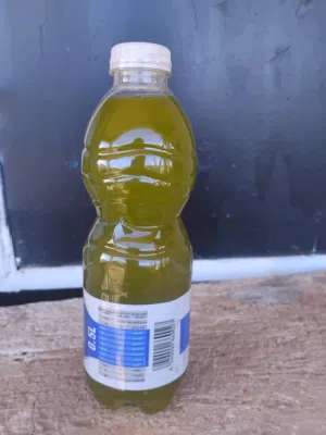 زيت زيتون بكر للبيع