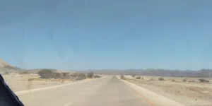 اللي من صلاله معه حلال صومالي كميه تيوسه للذبح أو غنم اثيوبي يتواصل معي