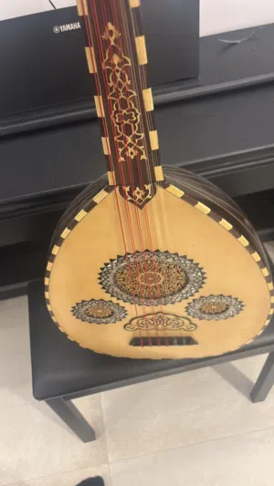 بيعة سريعة عود طربي لقطة