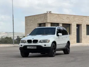 BMW~x5(2001)