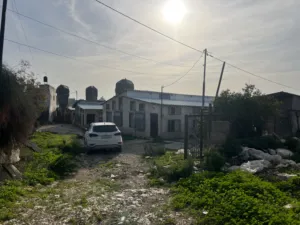 مشروع دواجن متكامل وجاهز للإنتاج – ليس مجرد أرض