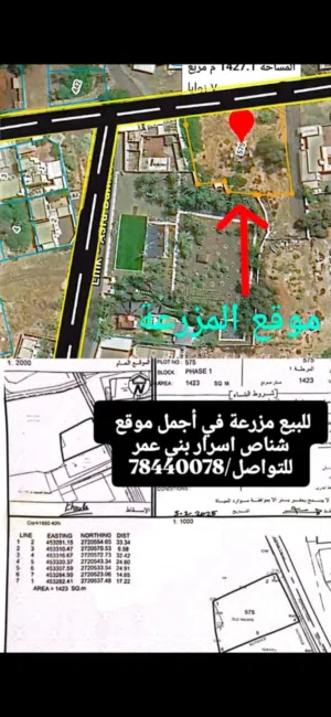 أفضل قطعة زراعية في شناص اسرار بني عمر خط اول للشارع كل الخدمات متوفرة