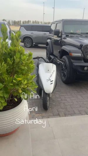ام شراع للبيع دايو تو
