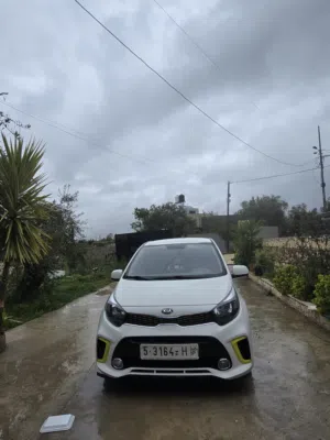 Used Kia Picanto in Salfit