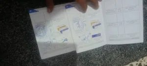 أنثى وذكر مالينوا