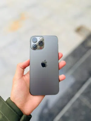 iPhone 13pro max