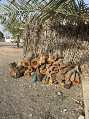 حطب للبيع تريب 30
