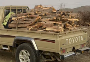 للبيع حطب سمر متوفر ع حسب الطلب كبار وصغار