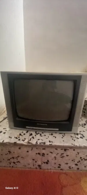 تلفزيون 23 بوص