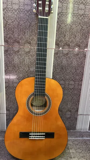 جيتار ڤلنسيا مستخدم أسبوع