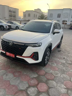 شنجان عرض قوي 2025