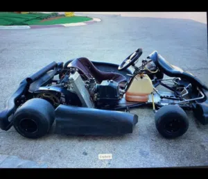 Rotax CRG MAX 125 FR125 28hp 2009 ( GO-KART )