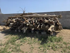 للبيع حطب اشجار متنوعه وصلبة