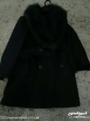 كبوت فروا جديد