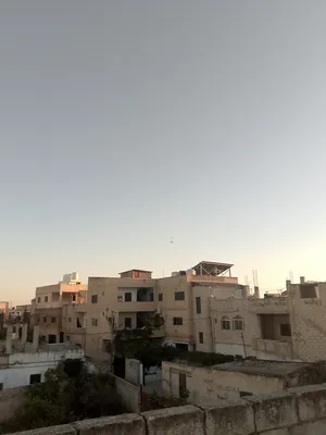 ‏حمام‏1