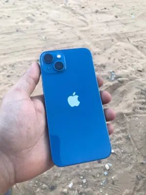 13 العادي أقر الوصف