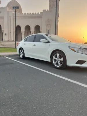 Used Nissan Altima in Muscat