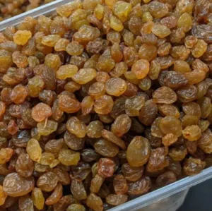 زبیب ایرانی الاصل