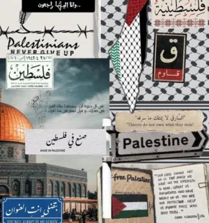 محمد س