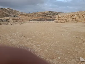 Mixed Use . 1800 m2 . Landlord4