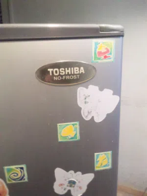 ثلاجه توشيبا