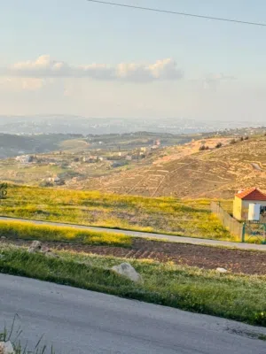 Mixed Use Land for Sale in Amman Naour